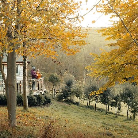 Cottage Orne Long Bredy Екстер'єр фото